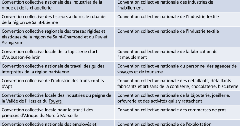 Rapport Ramain Conventions Collectives